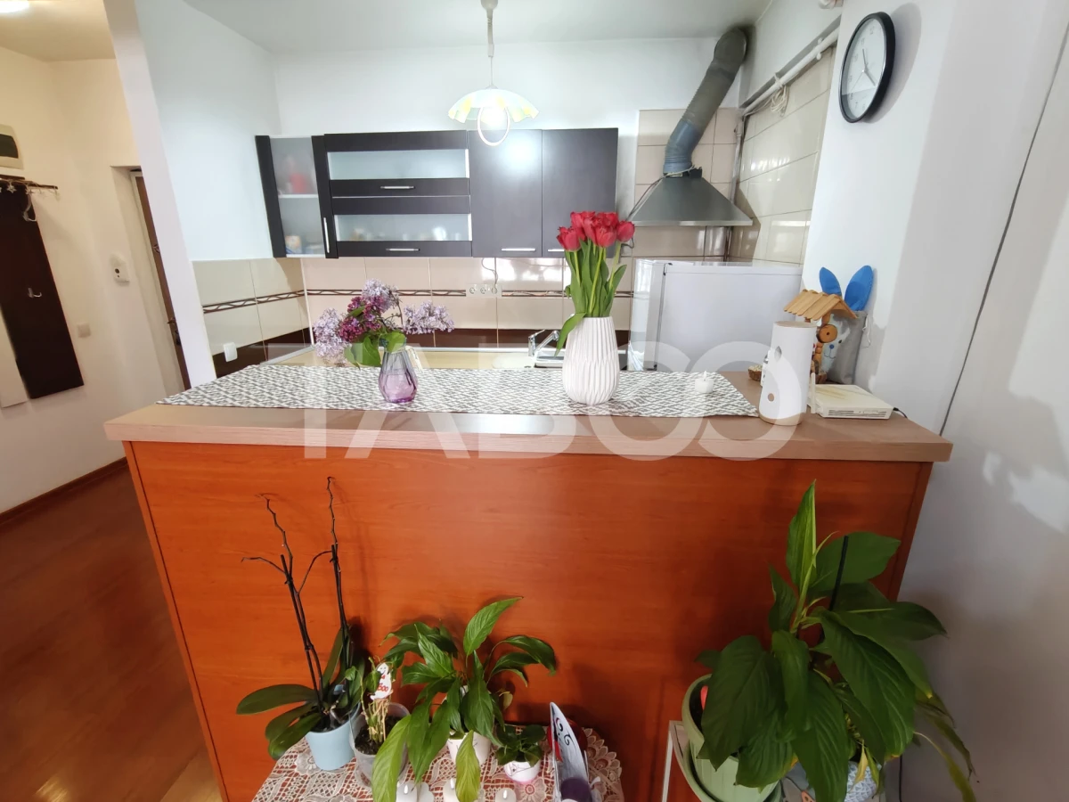 Apartament 2 camere cu balcon - Doamna Stanca - Pretabil investitie - 10