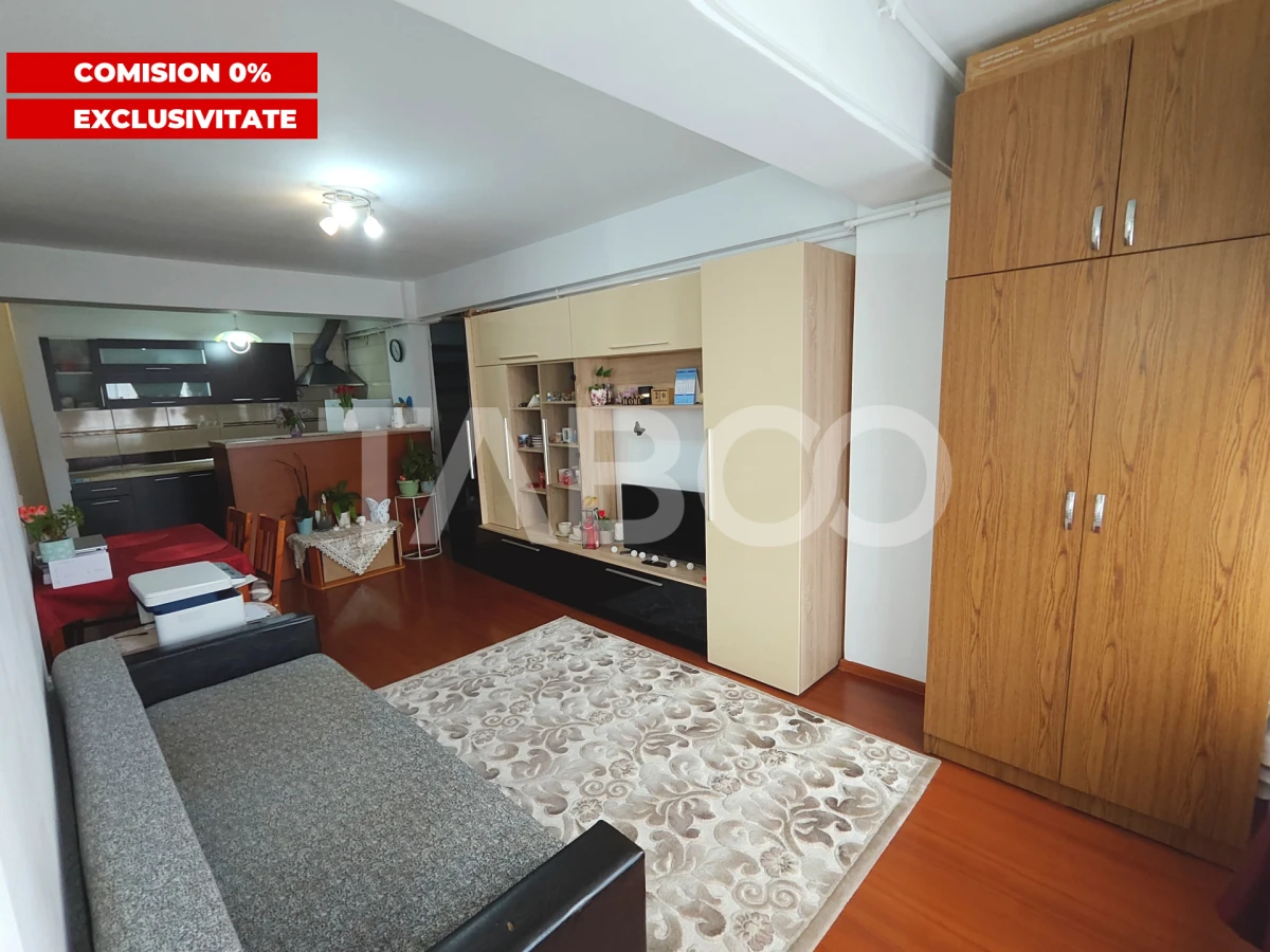 Apartament 2 camere cu balcon - Doamna Stanca - Pretabil investitie - 3