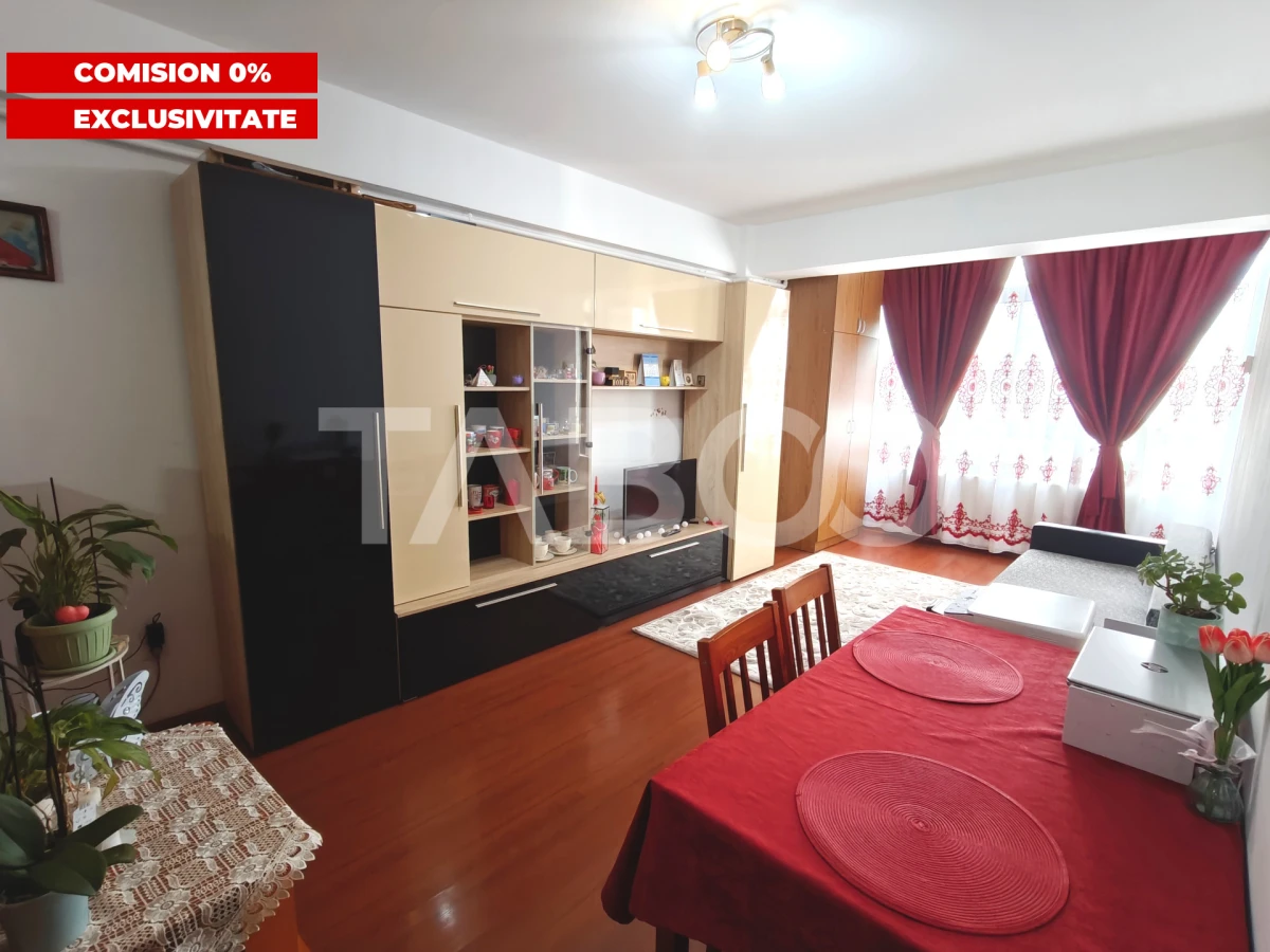 Apartament 2 camere cu balcon - Doamna Stanca - Pretabil investitie - 2