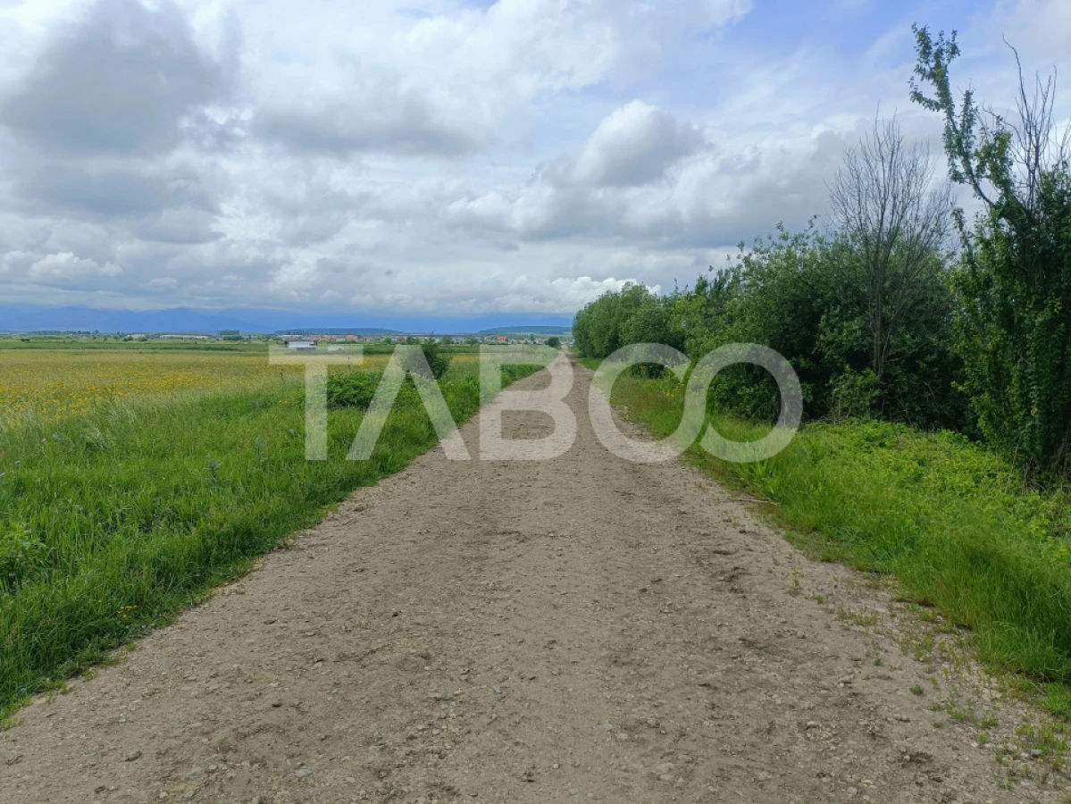 Teren de vanzare in zona Parcului Industrial Sura Mica cu acces camion - 1