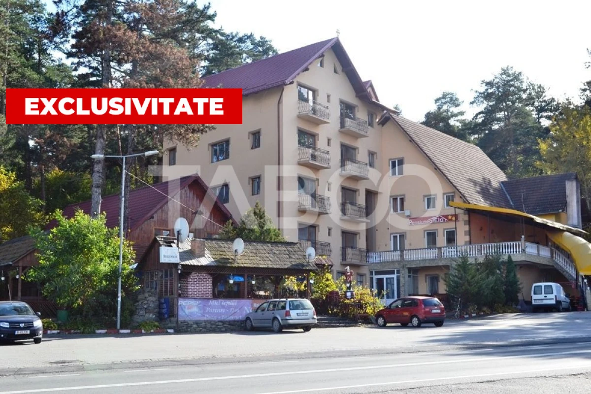 Pensiune de vanzare in Talmaciu judetul Sibiu renovata cu 26 camere - 2