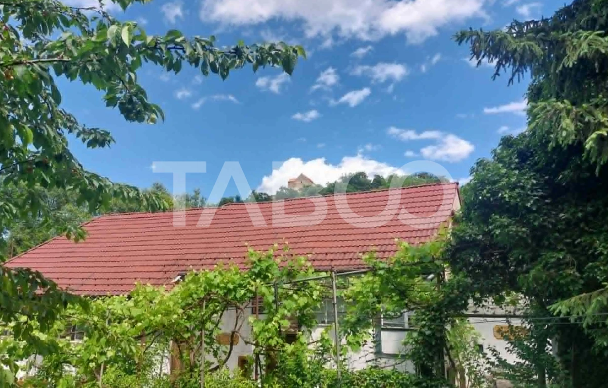 Casa de vanzare cu 2 apartamente separate si teren 544 mp Cisnadioara - 1