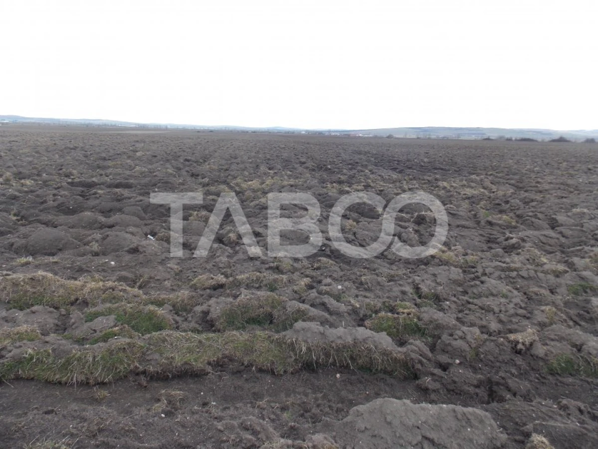 Teren intravilan de vanzare 10.000 mp in zona Industriala Vest Sibiu - 3