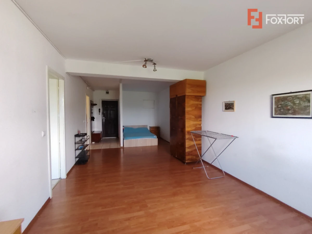 Apartament cu o camera, 43 mp de inchiriat in Timisoara - C10027 - 9