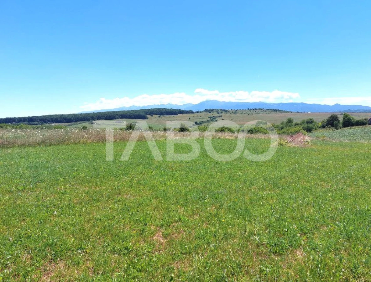 Teren extravilan pentru cabana si gradina 400 mp cu drum de acces - 2