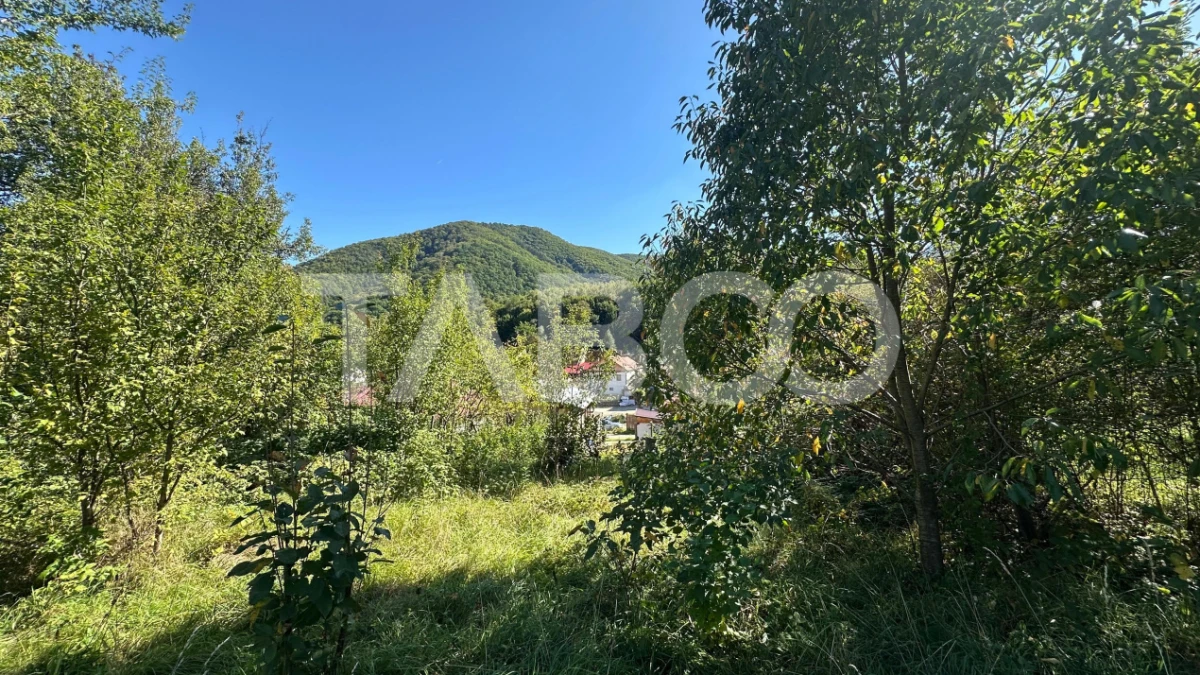 Casa individuala COMISION 0% din 2 corpuri curte 900mp in Cisnadioara - 6