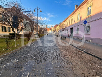 Apartament de vanzare 2 camere 81mpu + pivnita 22mp Centrul Istoric