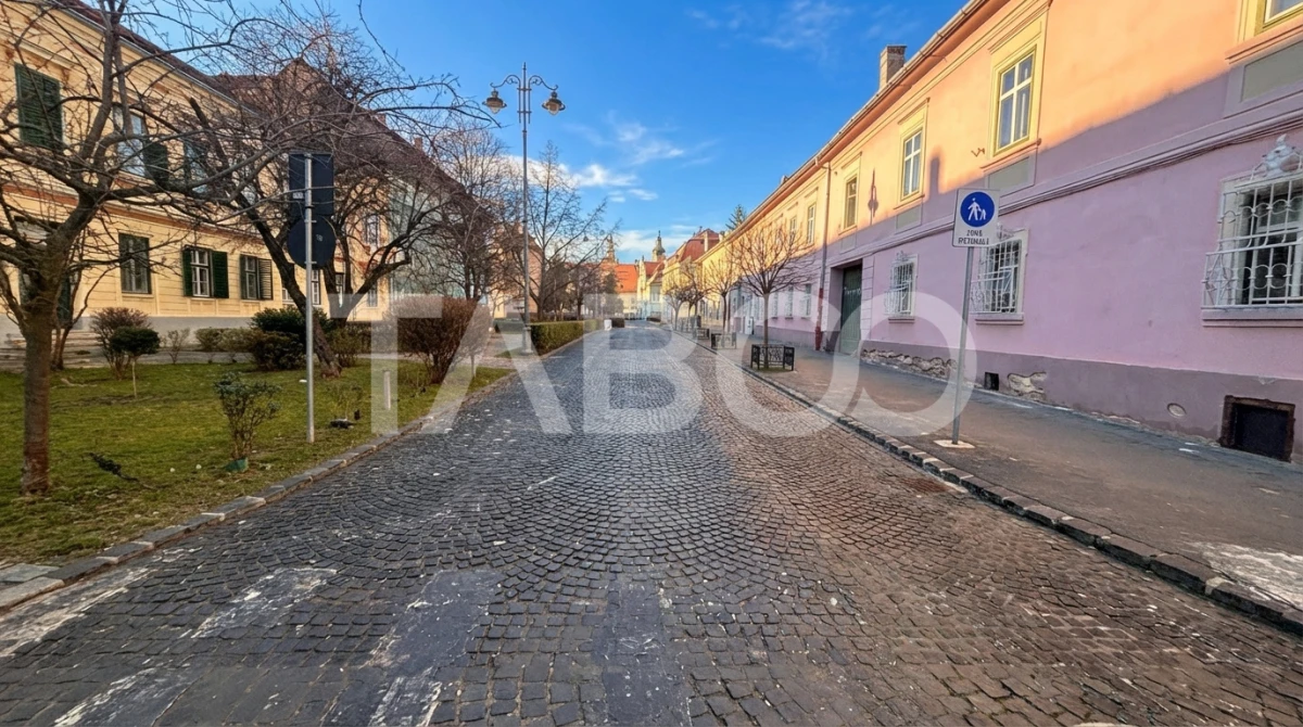 Apartament de vanzare 2 camere 81mpu + pivnita 22mp Centrul Istoric - 1