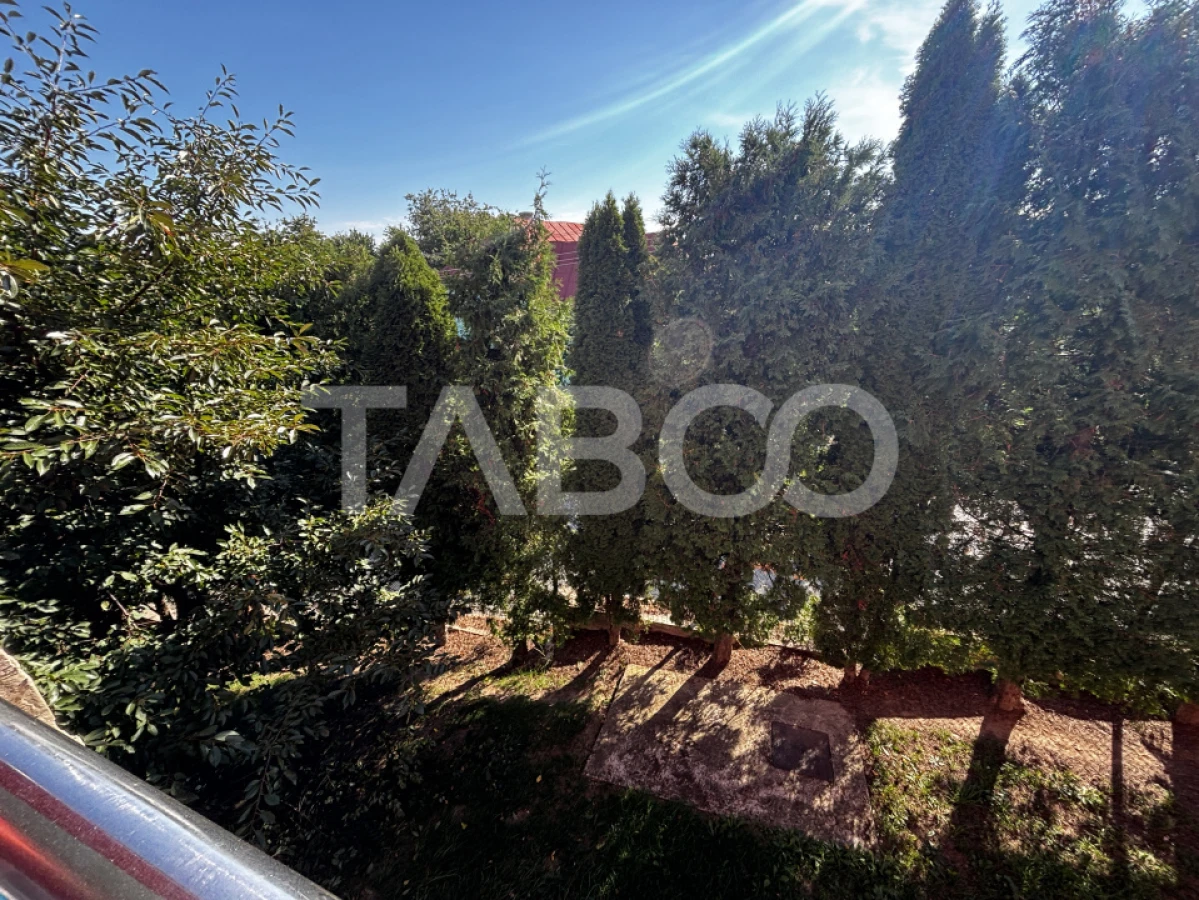 Casa de vanzare individuala cu 950mp teren Saliste zona deosebita - 1