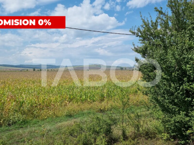 Oportunitate investitie Comision 0% 28000 mp in Sura Mica Sibiu