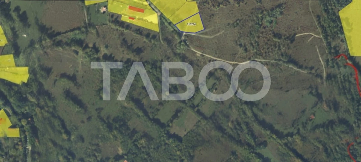 Teren intravilan 2050m acces auto zona turistica Valea Avrigului - 2