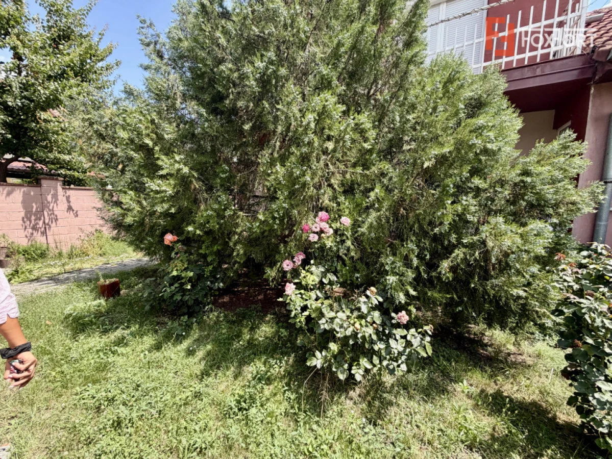 Apartament cu 2 camere la casa - de inchiriat in Dumbravita - 6