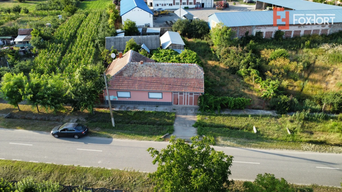 Casa individuala cu 3 camere, 130 mp utili, teren 1238 mp, in Livezile Timis - 1