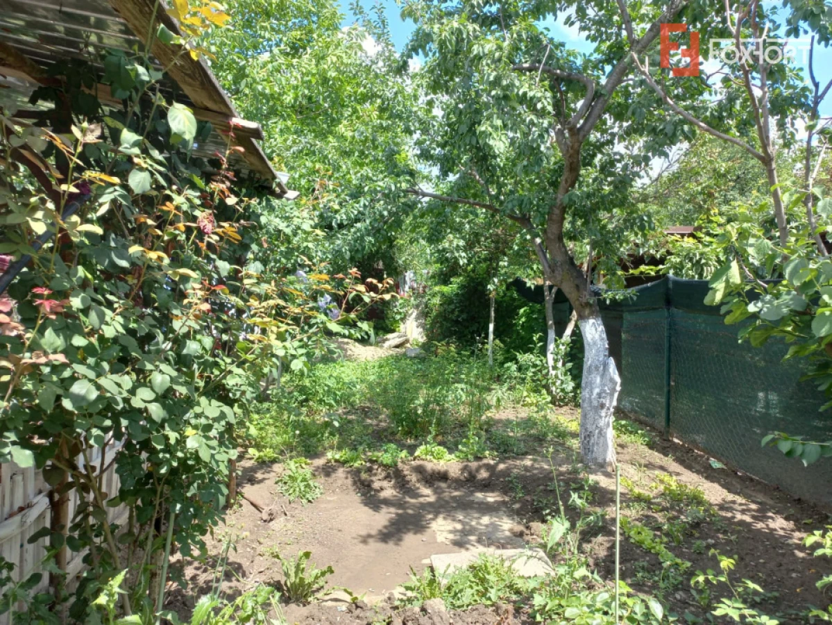 Casa individuala de vanzare in zona Plopi | Teren 489 mp - 7