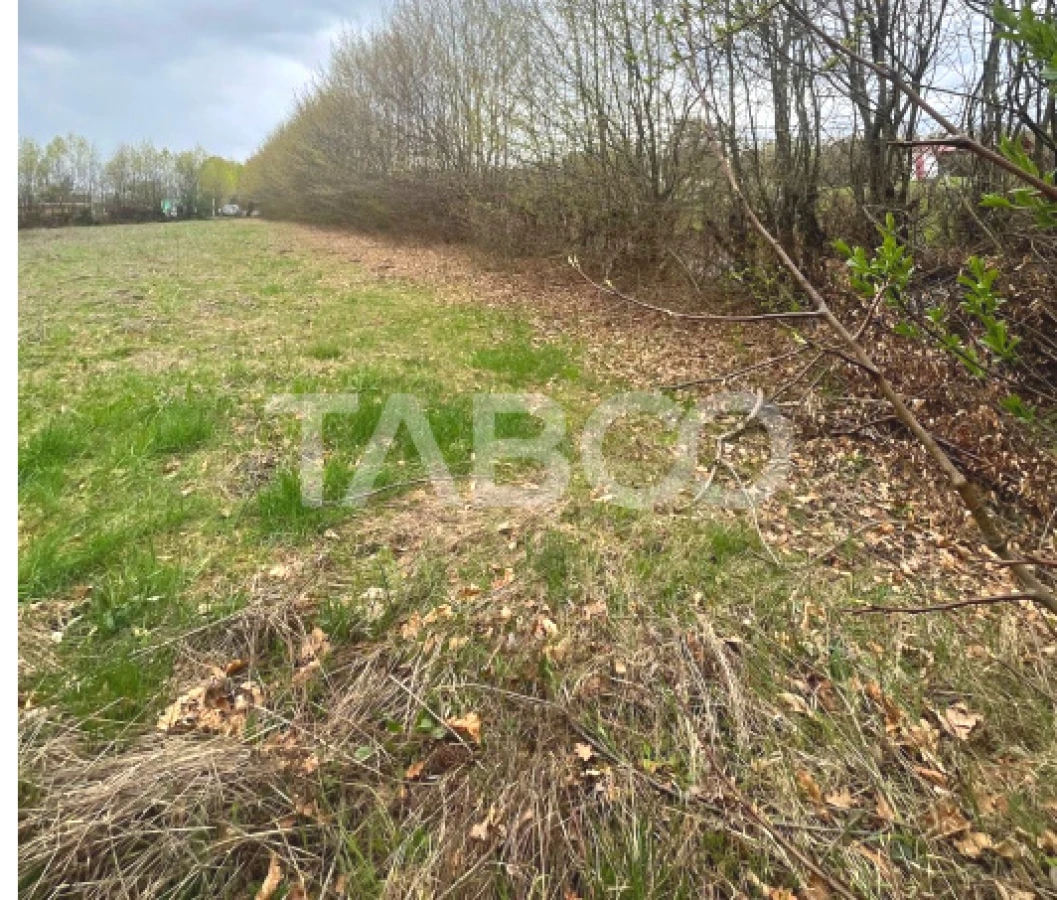Teren intravilan pentru casa zona linistita 550 mp front 21 m Cisnadie - 5