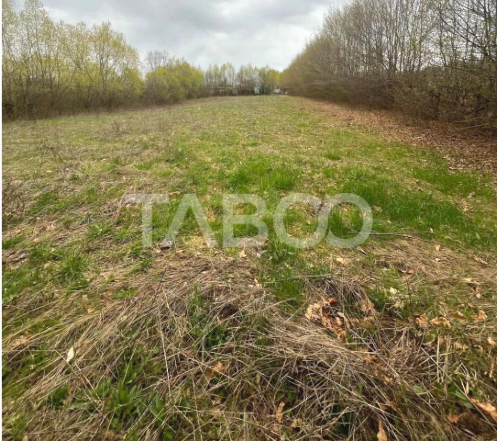 Teren intravilan pentru casa zona linistita 550 mp front 21 m Cisnadie - 4