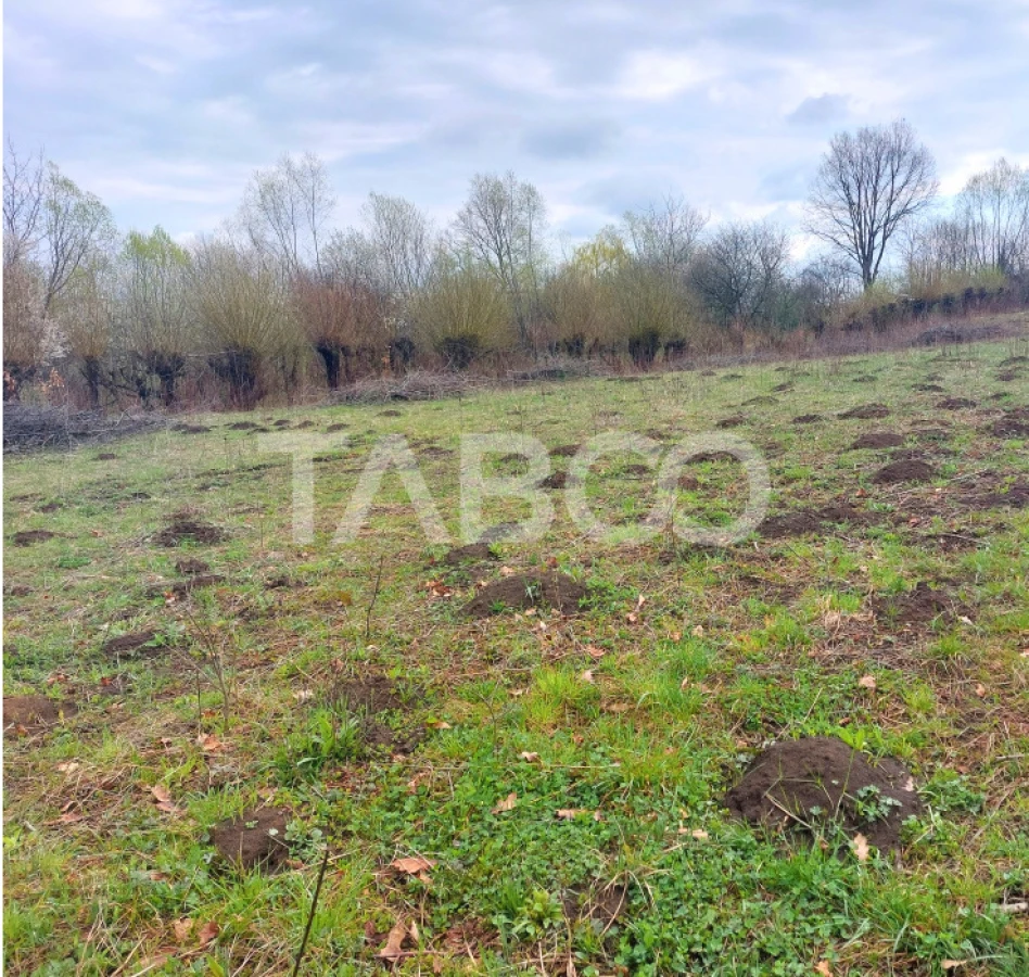 Teren intravilan pentru casa zona linistita 550 mp front 21 m Cisnadie - 3