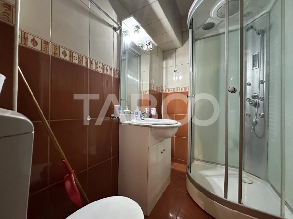 Apartament cu 2 camere de vanzare zona Piata Garii Centru - 4