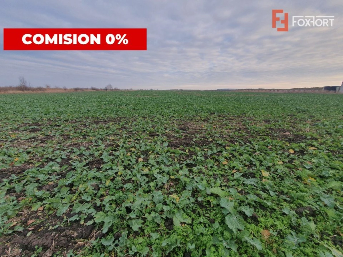 Comision 0% Teren industrial, 7 ha, intravilan, Calea Sagului - 3