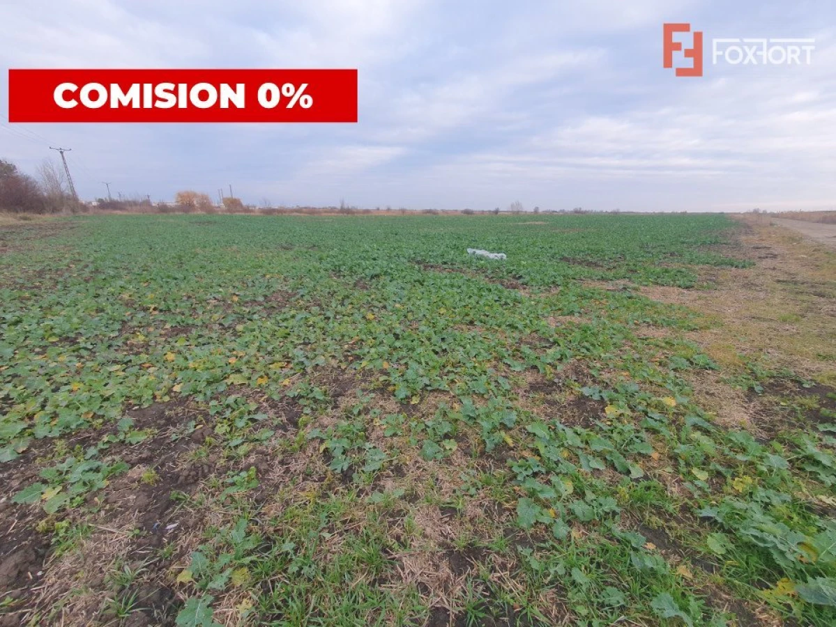 Comision 0% Teren industrial, 7 ha, intravilan, Calea Sagului - 1