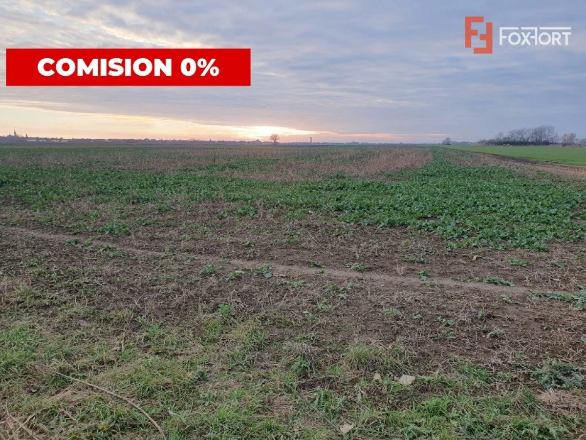 COMISION 0% Teren extravilan agricol 10.000 mp la sosea in Sag - 5