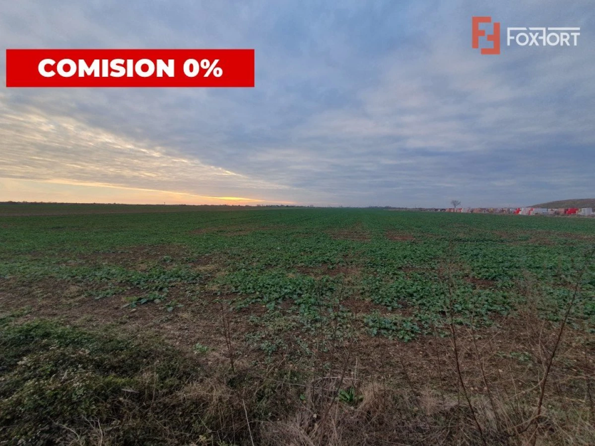 COMISION 0% Teren extravilan agricol 10.000 mp la sosea in Sag - 3