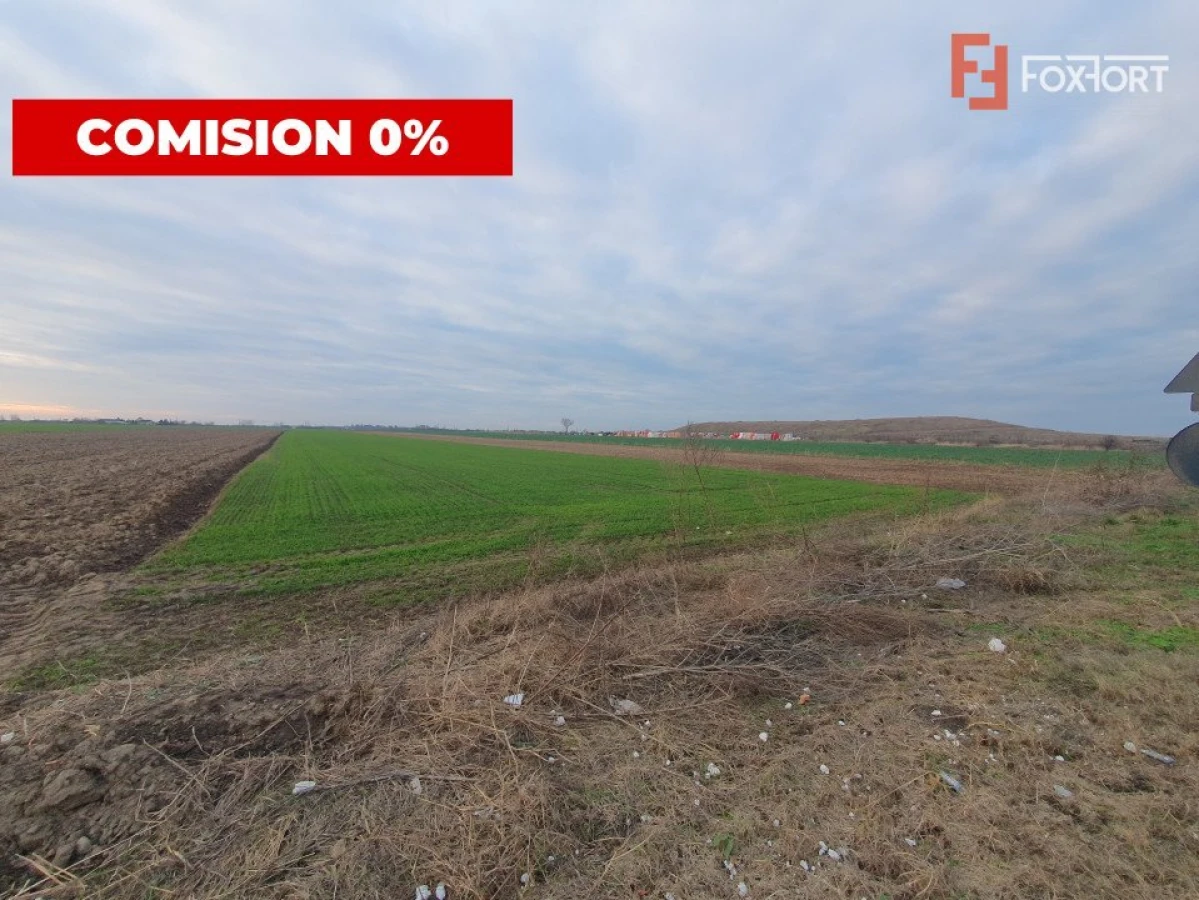 COMISION 0% Teren extravilan agricol 10.000 mp la sosea in Sag - 1