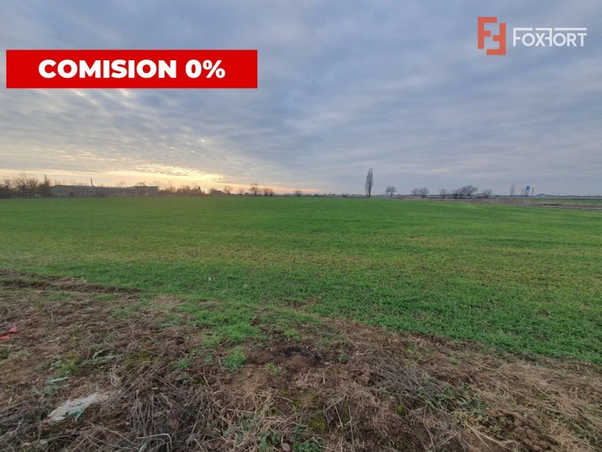 COMISION 0% Teren intravilan industrial 28.395 mp la sosea in Sag - 7