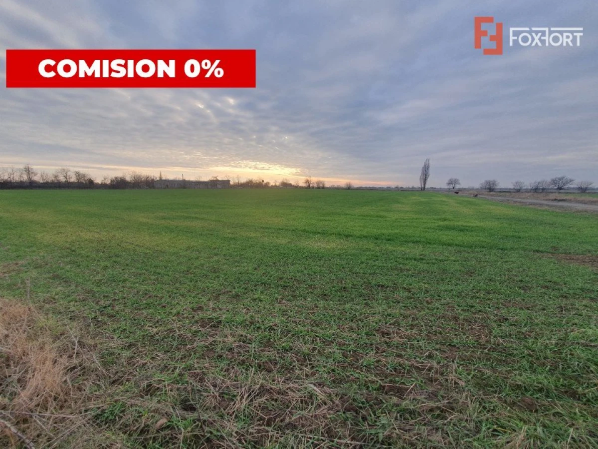 COMISION 0% Teren intravilan industrial 28.395 mp la sosea in Sag - 6