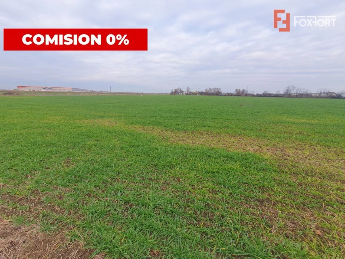 COMISION 0% Teren intravilan industrial 28.395 mp la sosea in Sag - 5
