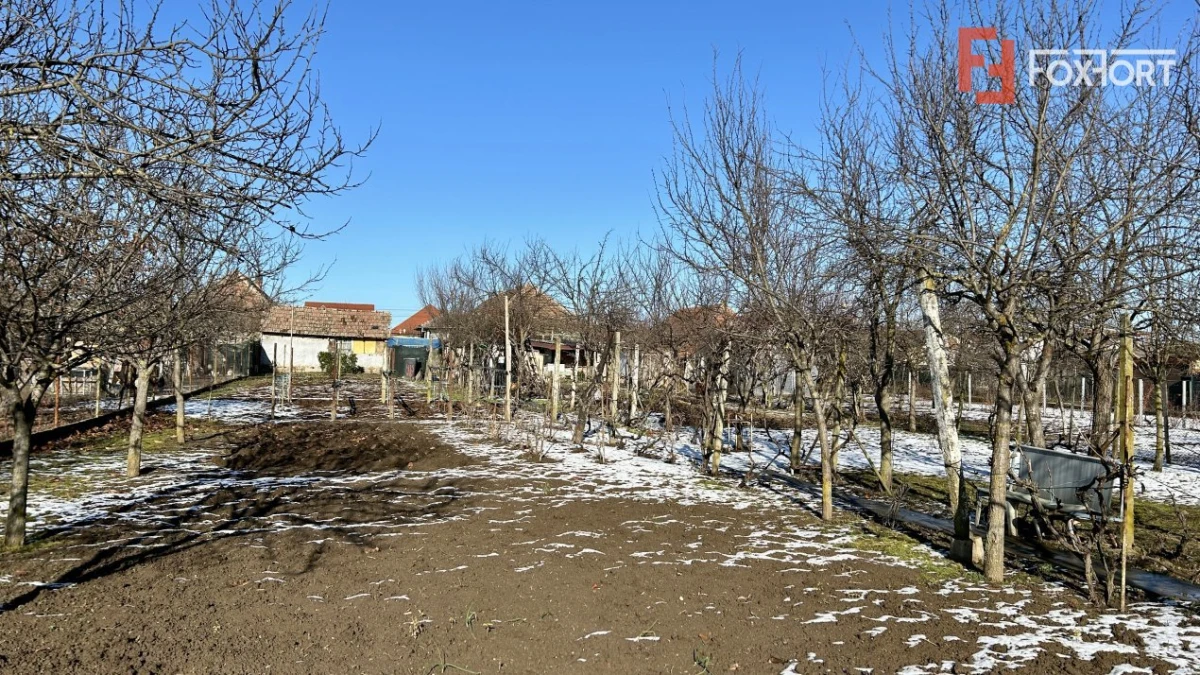 Casa 5 camere + teren 1845 mp Sanandrei - 2