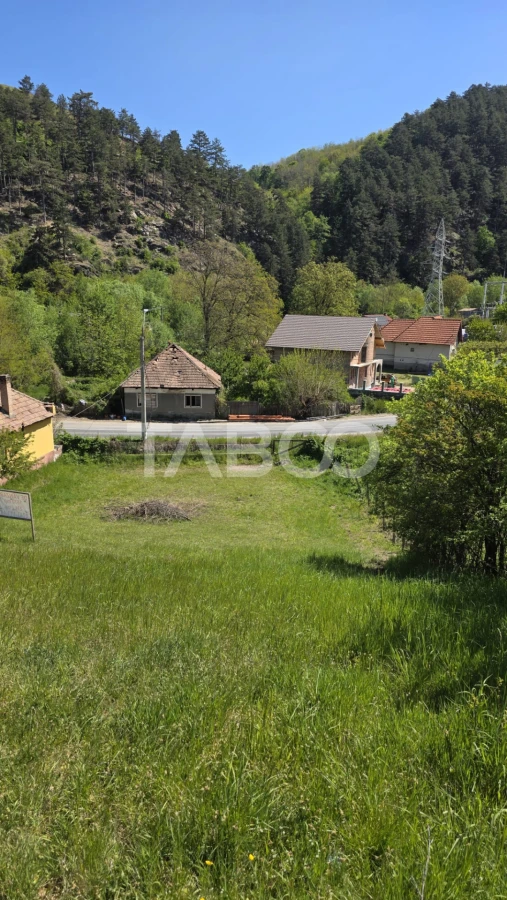 Teren intravilan de vanzare in Sasciori jud Alba - 3