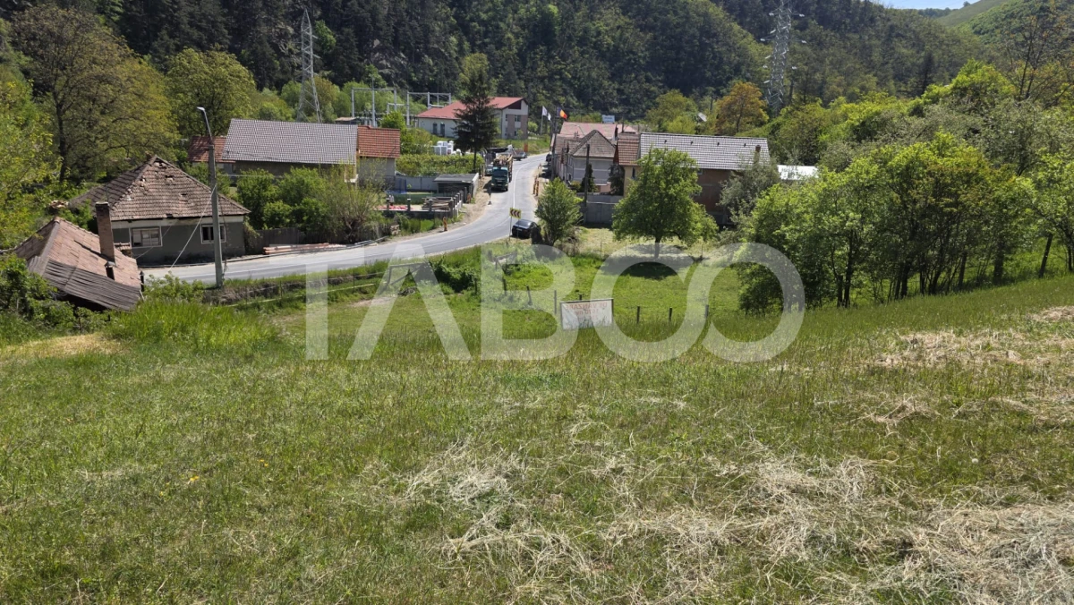 Teren intravilan de vanzare in Sasciori jud Alba - 1