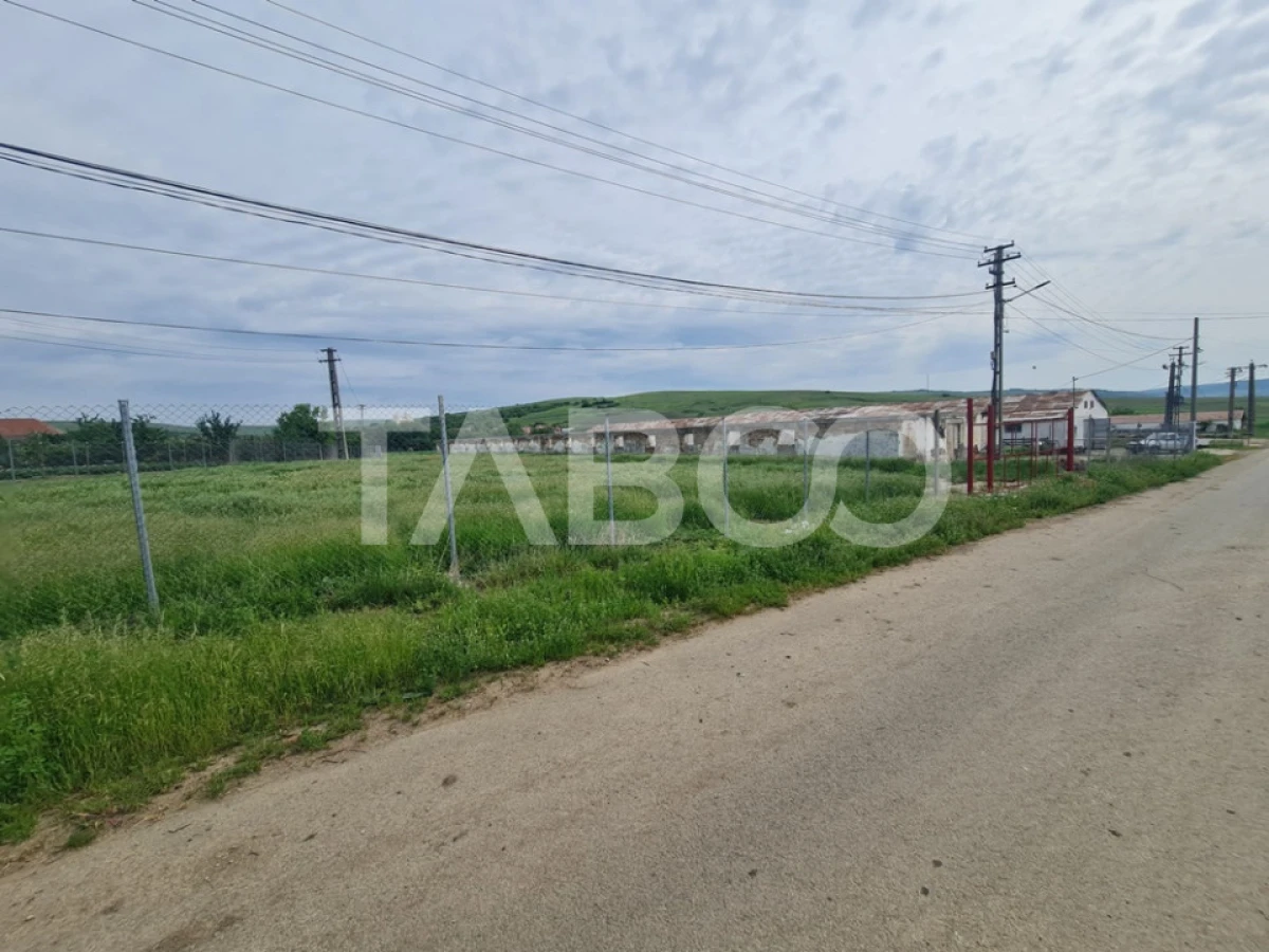 Hala in constructie cu teren intravilan de vanzare in Cut judetul Alba - 4