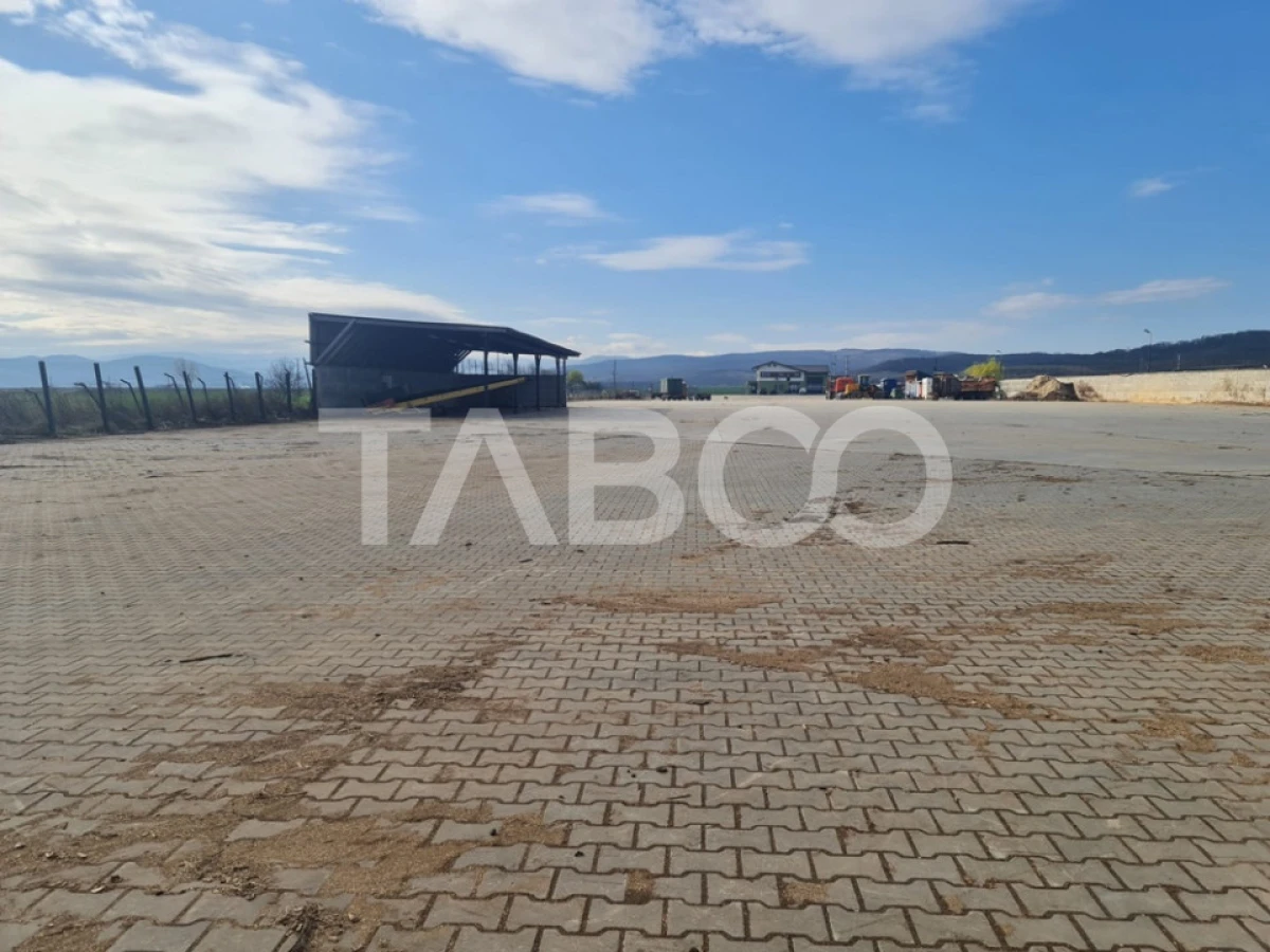 Spatiu industrial de inchiriat in Sebes judetul Alba - 9
