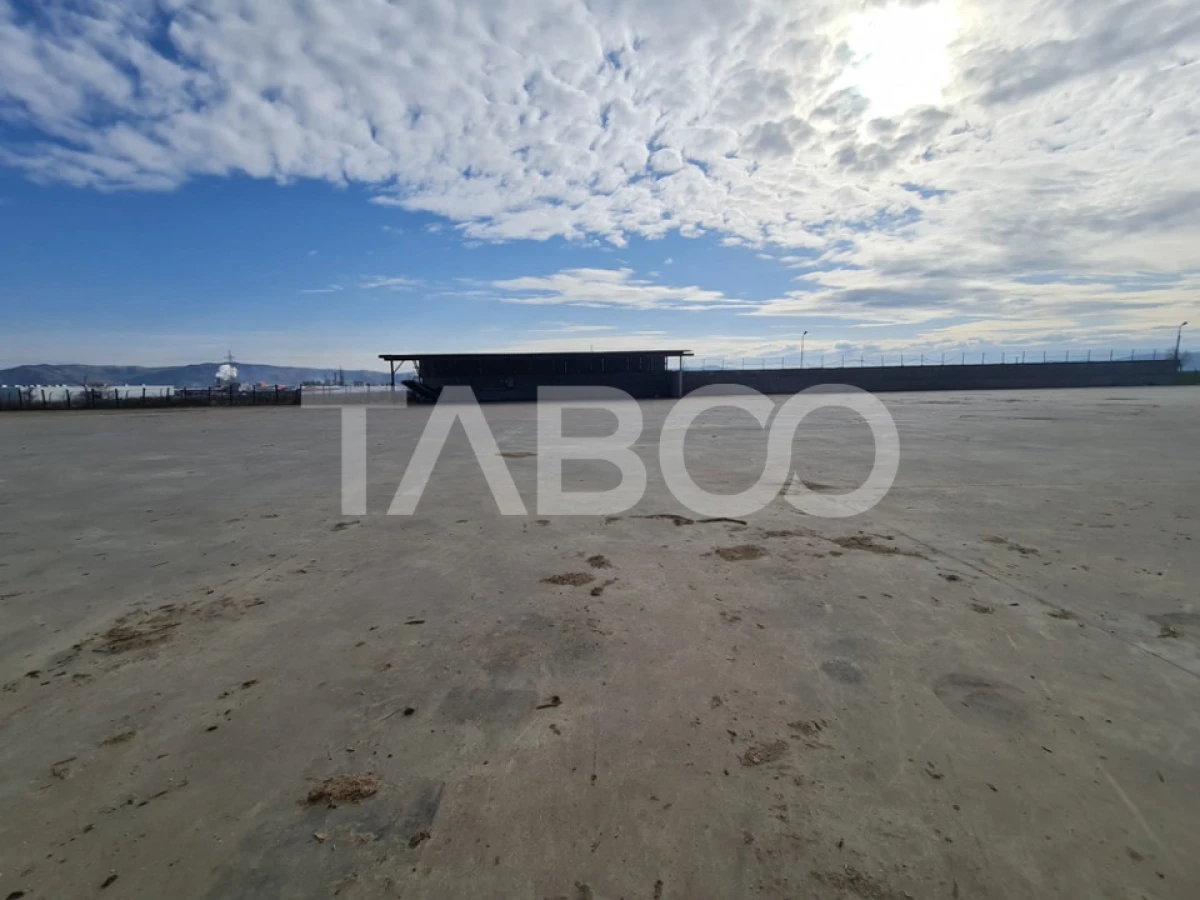 Spatiu industrial de inchiriat in Sebes judetul Alba - 8