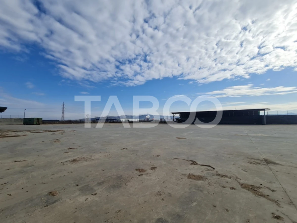 Spatiu industrial de inchiriat in Sebes judetul Alba - 7