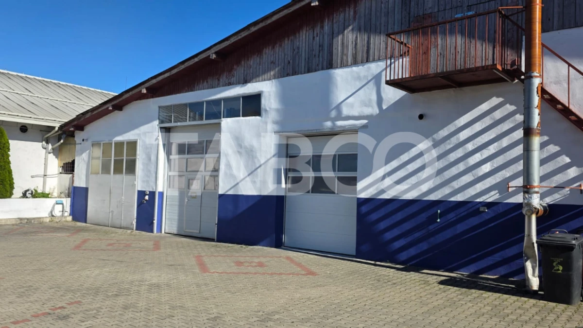 Spatiu industrial de 300 mp de inchiriat in Sebes Alba - 8