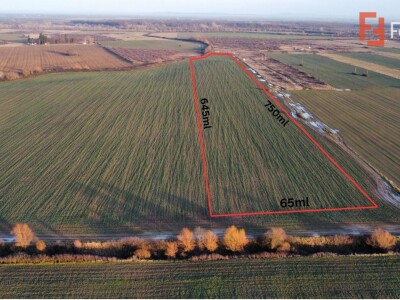 Teren extravilan arabil 50.890mp - aproape de centura Timisoara Sud