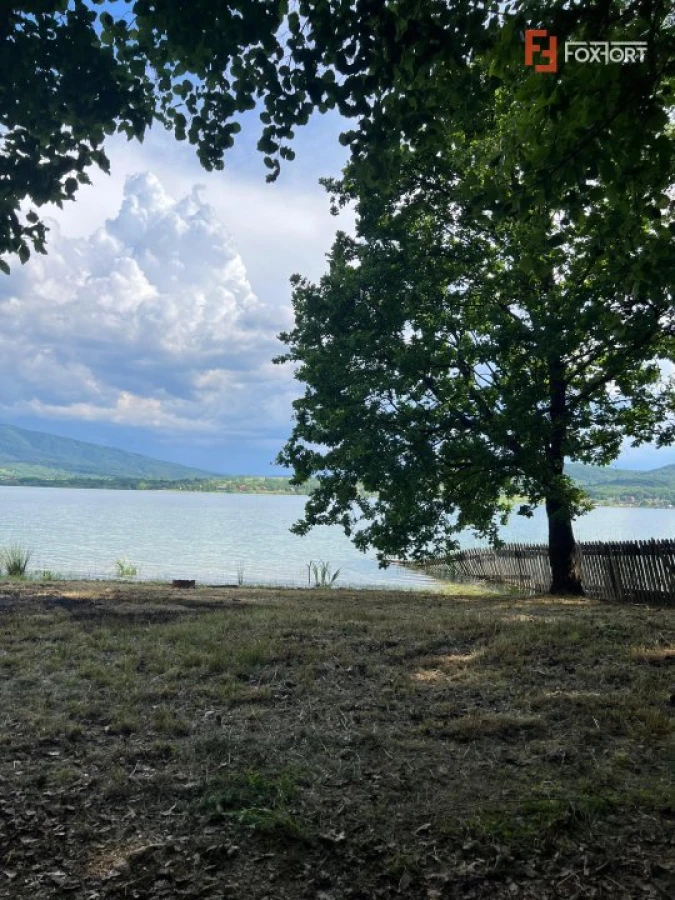 Teren de vanzare 6000 mp cu iesire la Lac Surduc - 5