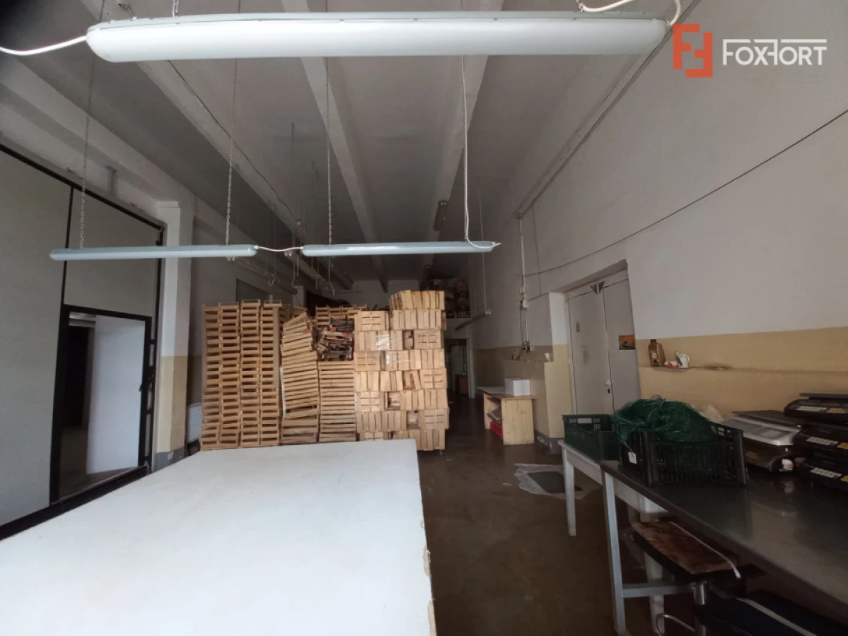 Hala industriala 1.411 mp, teren 2.068 mp - Acces TIR, Freidorf - 9