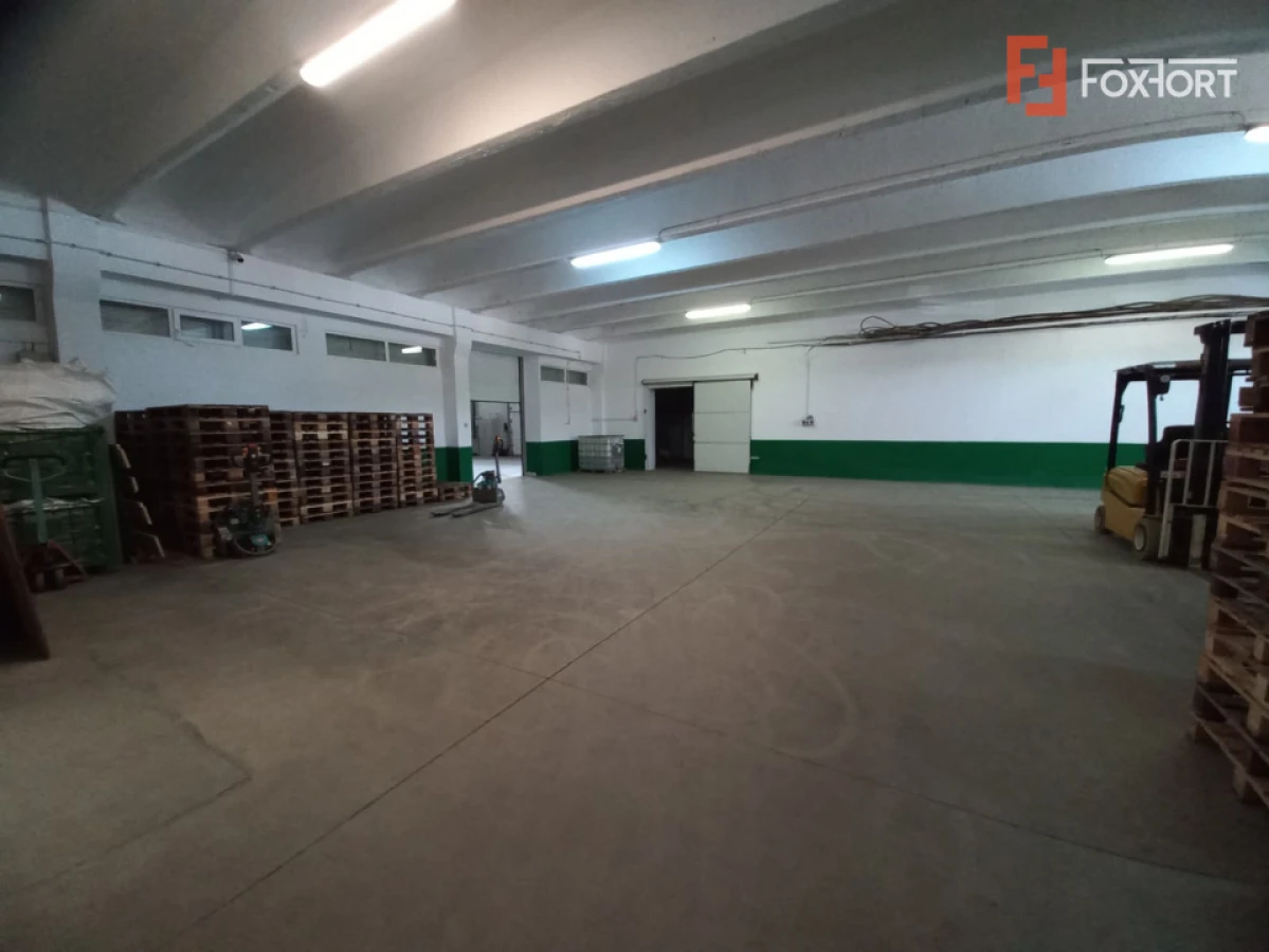 Hala industriala 1.411 mp, teren 2.068 mp - Acces TIR, Freidorf - 4