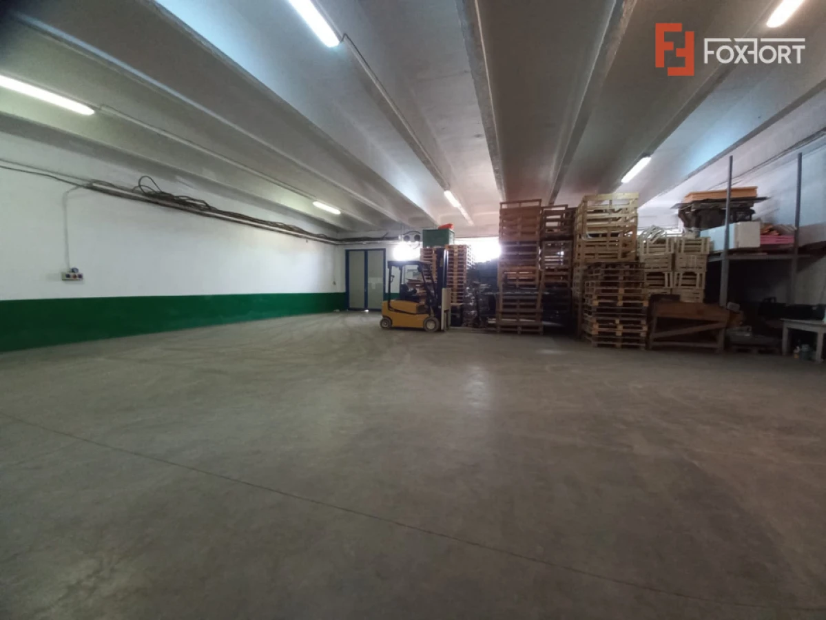 Hala industriala 1.411 mp, teren 2.068 mp - Acces TIR, Freidorf - 3