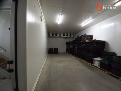 Hala industriala 1.411 mp, teren 2.068 mp - Acces TIR, Freidorf