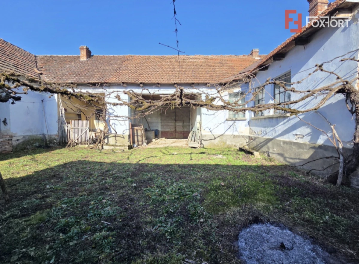 Casa individuala cu 1440 mp teren, 4 camere, Barzava, Lalasint - 6