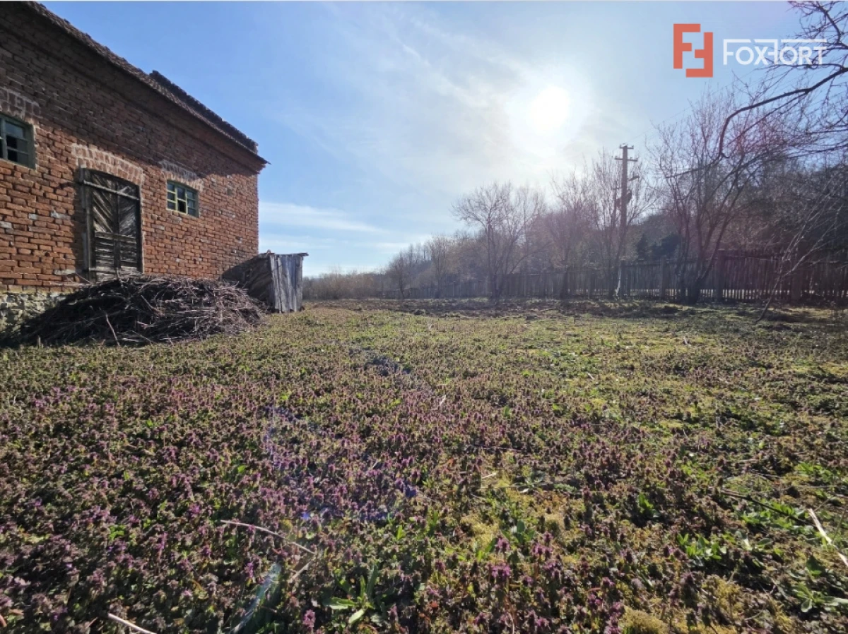 Casa individuala cu 1440 mp teren, 4 camere, Barzava, Lalasint - 4