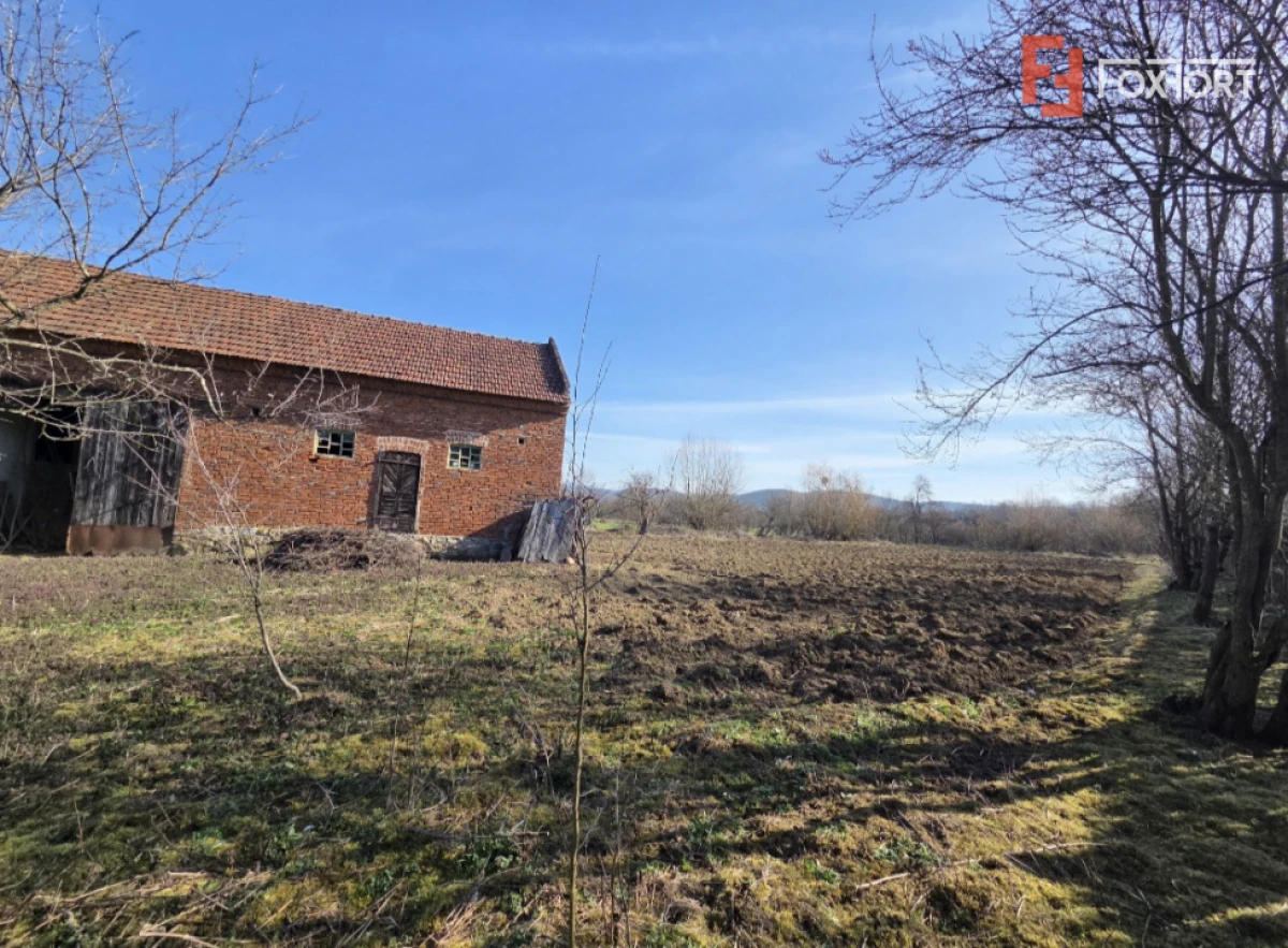 Casa individuala cu 1440 mp teren, 4 camere, Barzava, Lalasint - 3