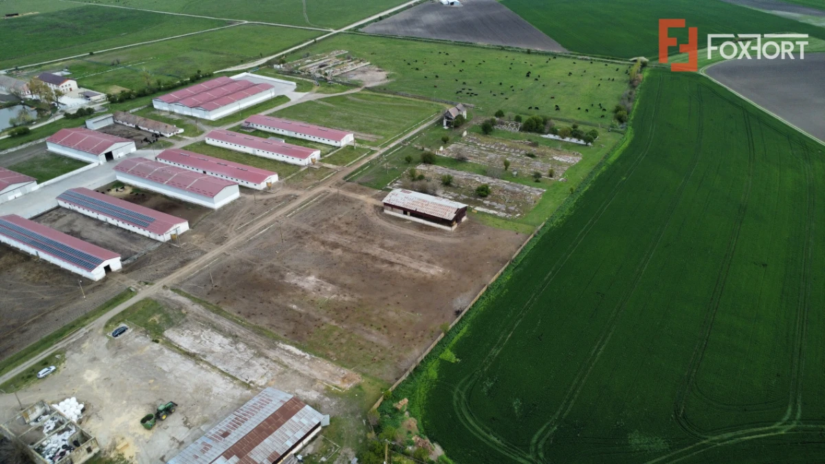 Teren intravilan cu suprafata de 58.340 mp, in Sanmartinul Sarbesc - 10