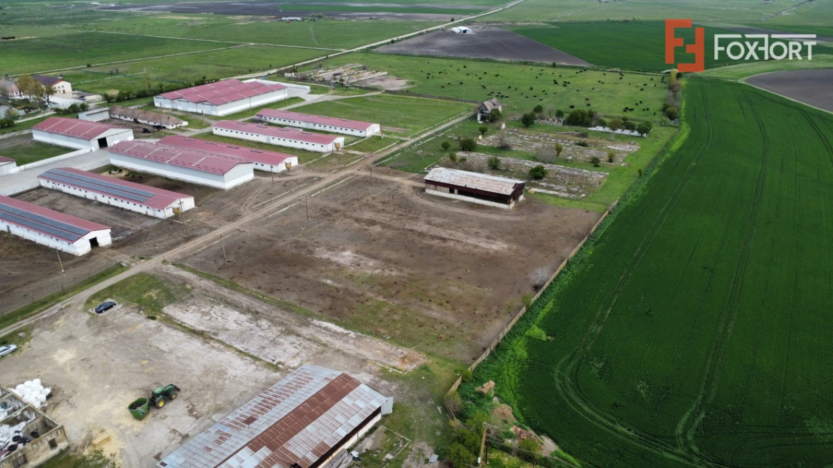 Teren intravilan cu suprafata de 58.340 mp, in Sanmartinul Sarbesc - 8