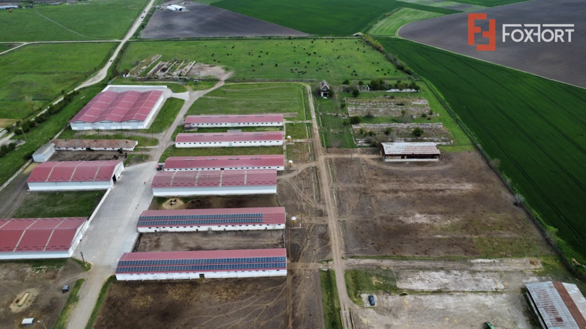 Teren intravilan cu suprafata de 58.340 mp, in Sanmartinul Sarbesc - 6